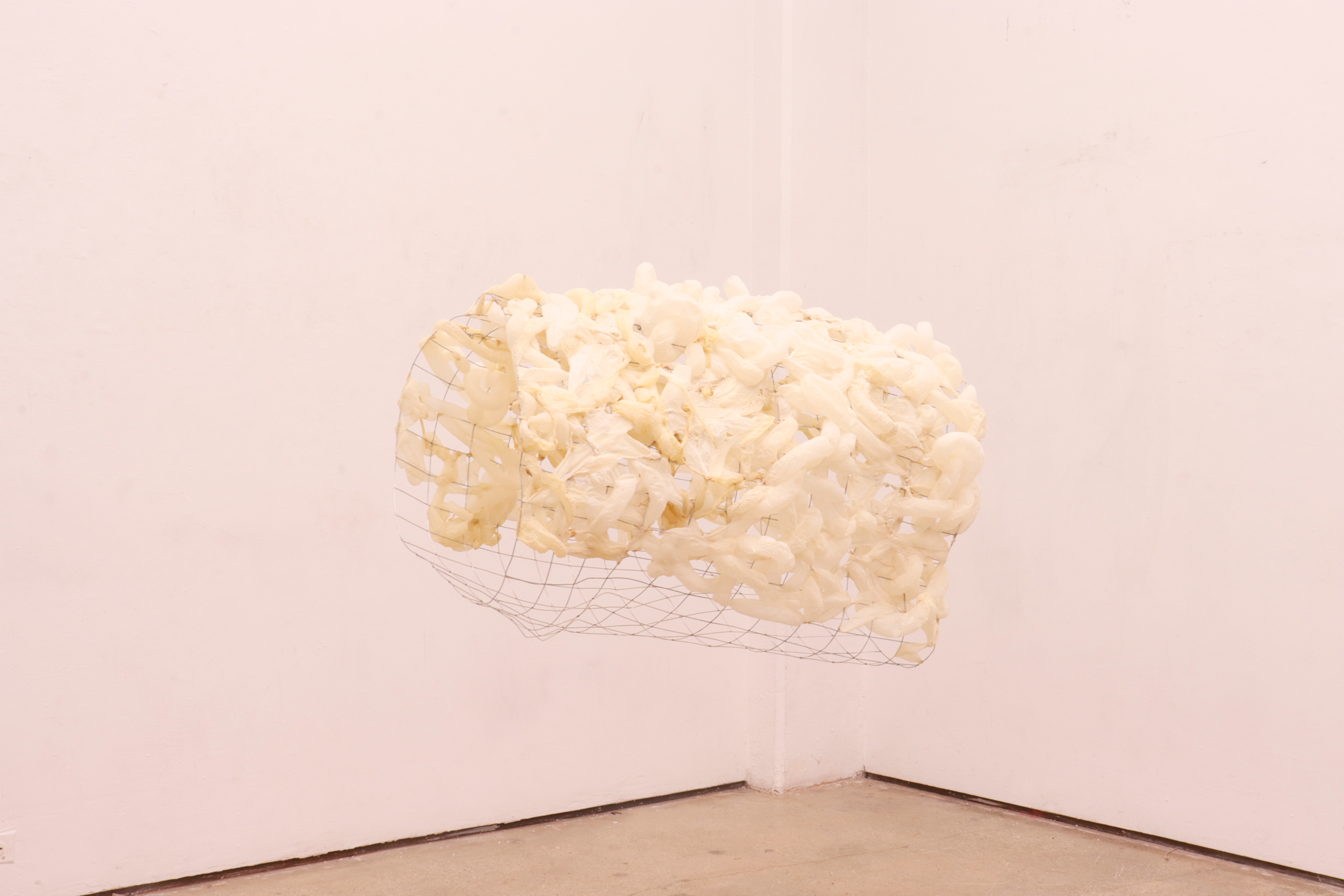 Held at the Edge sculpture by oneg - hog casings threaded through wire mesh