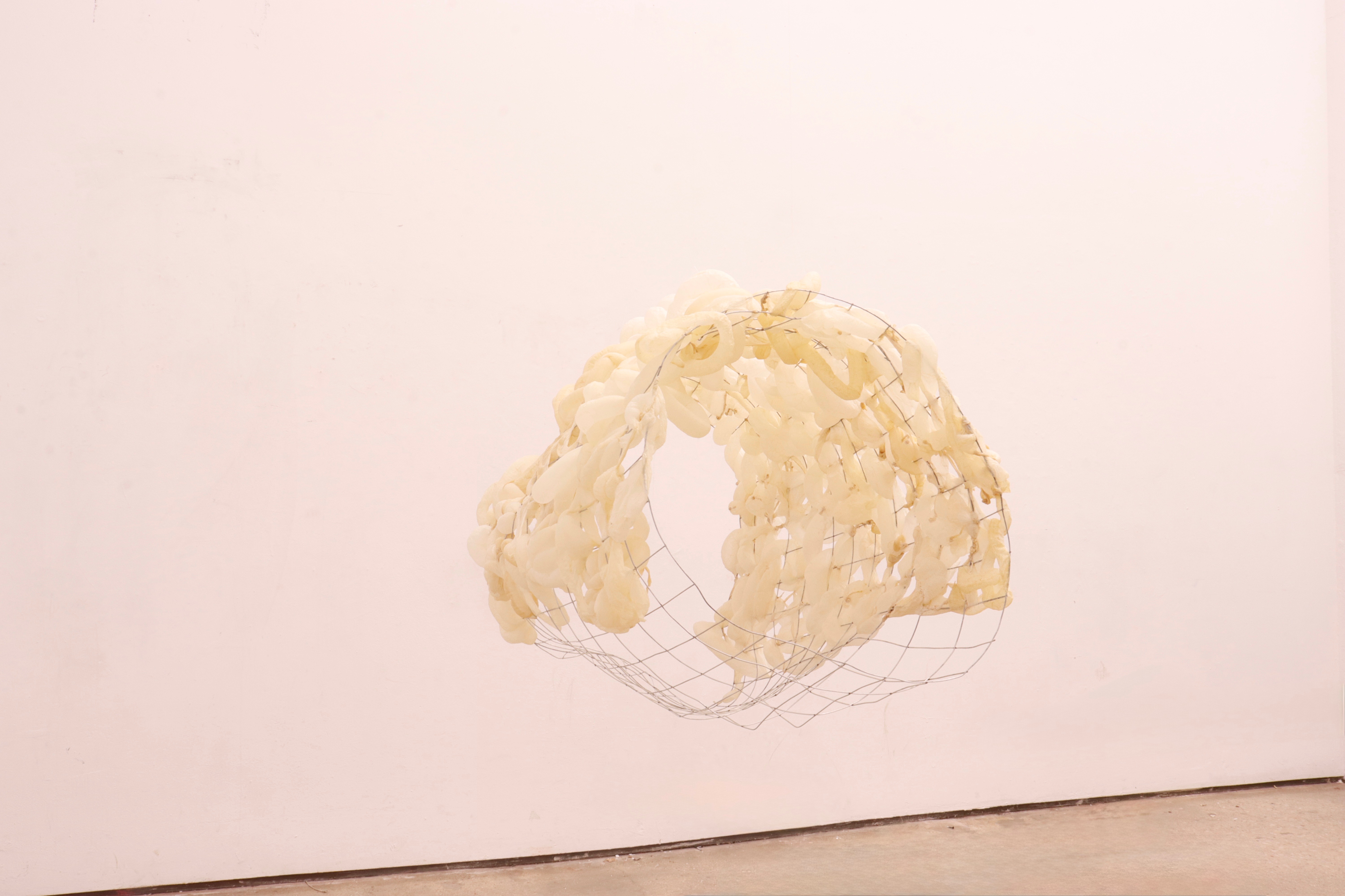 Held at the Edge sculpture by oneg - casing and wire mesh